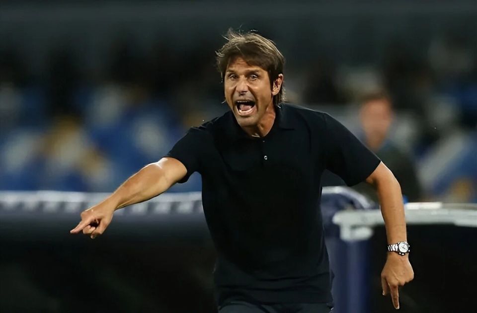 那不勒斯目 那不勒斯目